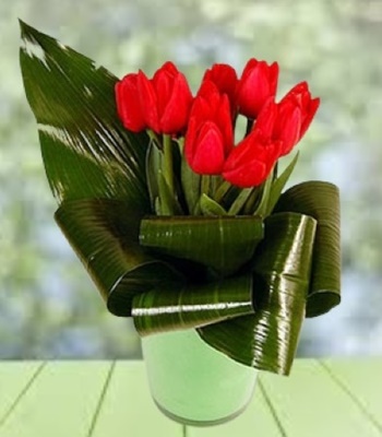 Tulips Bouquet