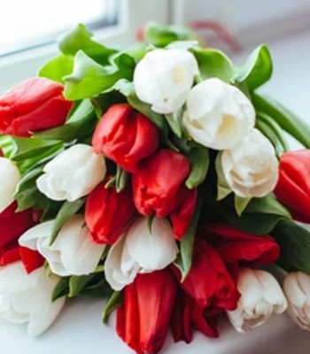 Bunch of Fresh Tulips Hand-Tied By Experts