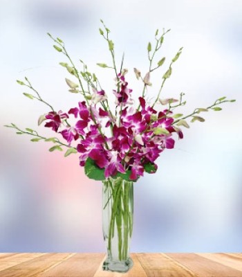 Purple Orchids in Tall Glass Vase