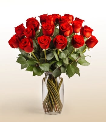 24 Red Roses in Glass Vase