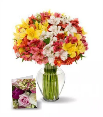 100 Alstroemeria Flowers