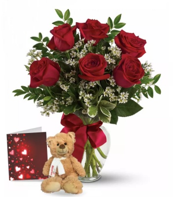 6 Red Roses and Teddy