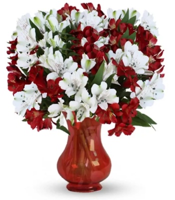 Alstroemeria Flowers - 100 Blooms