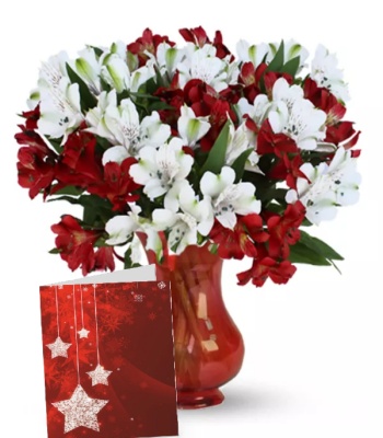 Alstroemeria Flowers in Vase