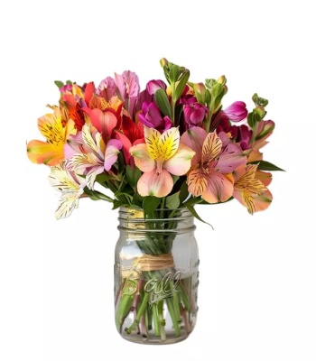 Alstroemeria in Mason Jar