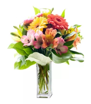 Alstroemerias and Gerbera Flowers