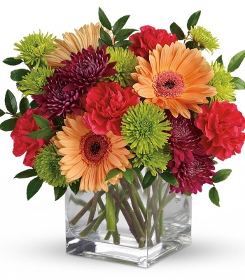 Any Occasion Flowers Arrangement