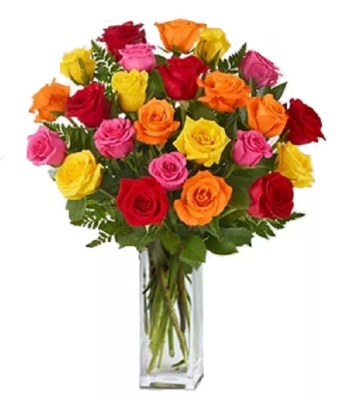 Assorted Roses - 24 Long Stem