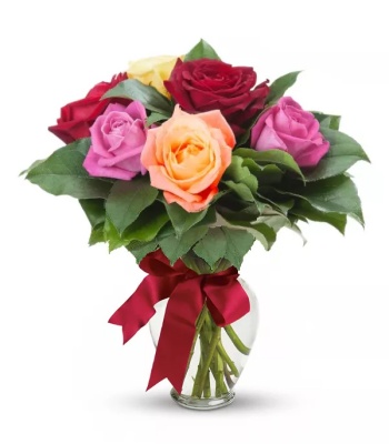 Assorted Roses - 6 Long Stem