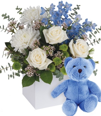 Baby Boy Flowers with Teddy