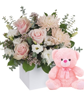 Baby Girl Flowers with Teddy