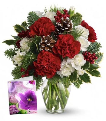 Carnation Flower Bouquet - Special