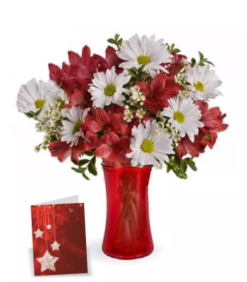 Christmas Flower Bouquet - Daisies and Alstroemeria