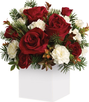 Christmas Flowers in Box