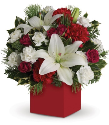 Christmas Red and White Flowers