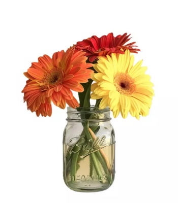 Gerbera Daisies in Jar