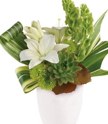 indoor Flowers with Greens