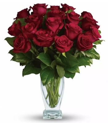 Long Stem Red Roses - 18 Stems