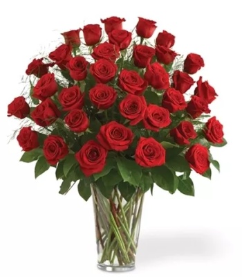 Long Stem Red Roses - 36 Red Roses