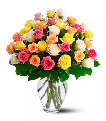 Long Stem Roses - 36 Assorted Roses