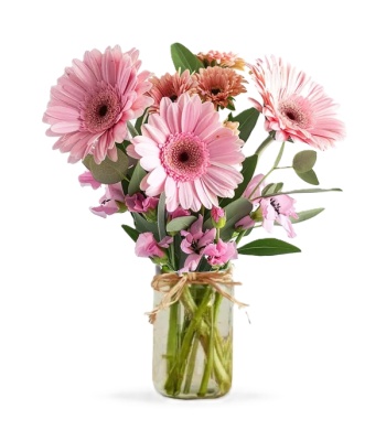 Pink Flowers in Jar