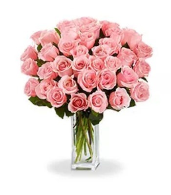 Pink Roses - 36 Long Stem