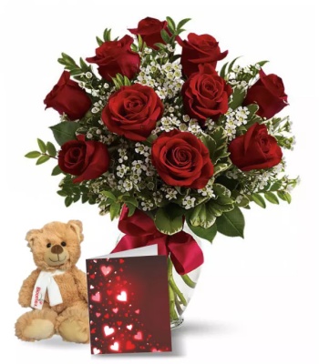 Red Roses and Teddy Bear