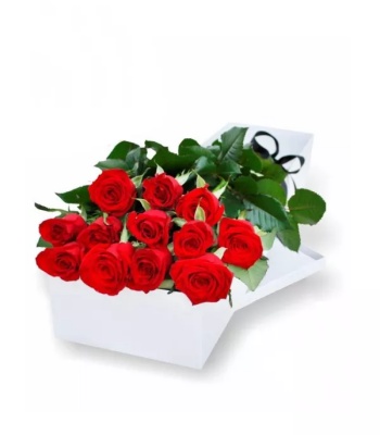 Red Roses in Box - One Dozen