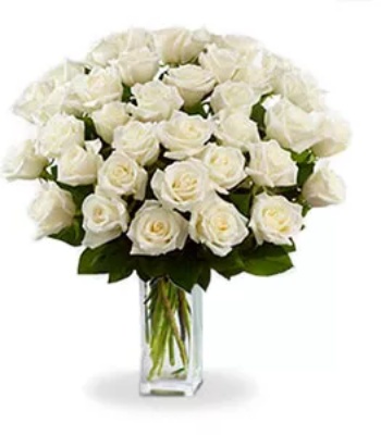 White Roses - 36 Long Stem