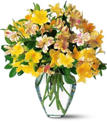 Yellow Alstroemeria Bouquet