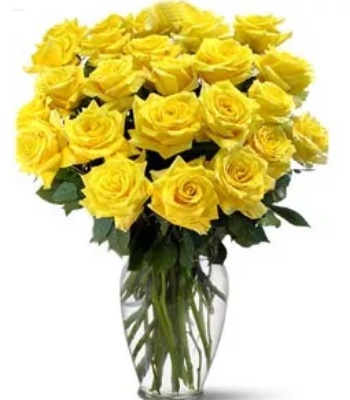 Yellow Roses - 24 Long Stem