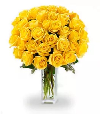 Yellow Roses - 36 Long Stem