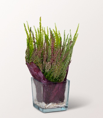 Autumn Flower in Glass Container