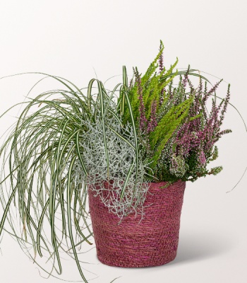 Autumn Flowers in See Grass Basket