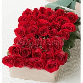 36 Red Roses In Box