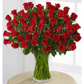 50 Red Roses In Vase