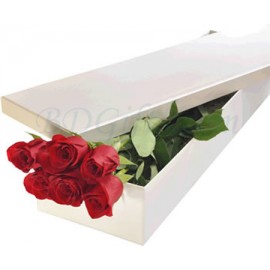 6 Red Roses In Box