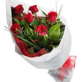 6 Red Roses