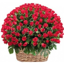 80 Red Rose Basket