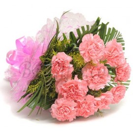 Pink Carnation Bouquet - 10 Pink Carnations