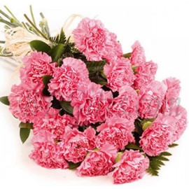 Pink Carnations Bouquet � 20 Pink Carnations