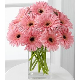 Pink Gerbera Flower Arrangement In Vase - Dozen Pink Gerberas