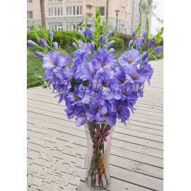 Purple Gladiolus Arrangement In Vase - 18 Purple Gladiolus