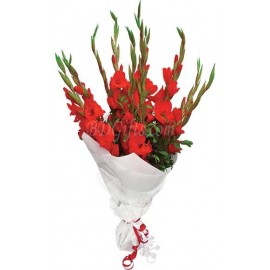 Red Gladiolus Bouquet - Dozen Red Gladiolus