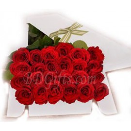 Red Roses In Box � Two Dozen Red Roses