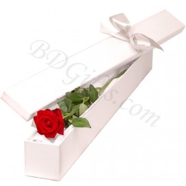 Single Red Rose In Box