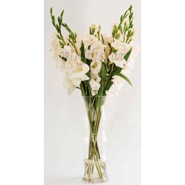 White Gladiolus Arrangement In Vase - 10 White Gladiolus