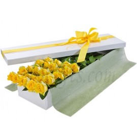 Yellow Roses In Box - 24 Imported Yellow Roses