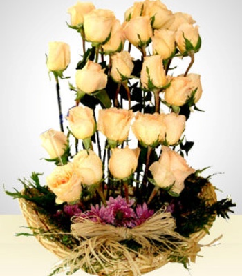 24 Light Colored Roses