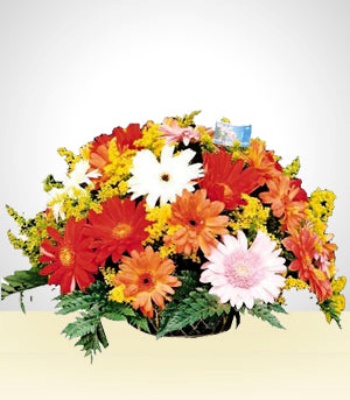 25 Gerberas